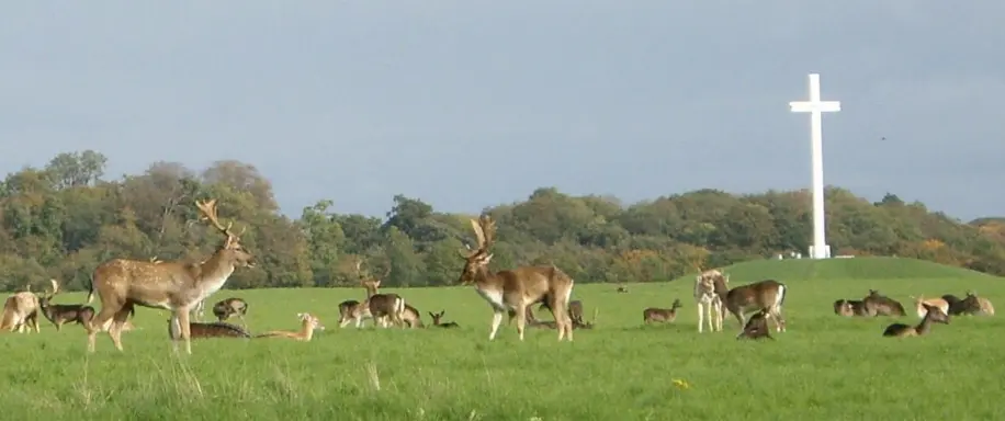 Irlanda: La isla de San Patricio
